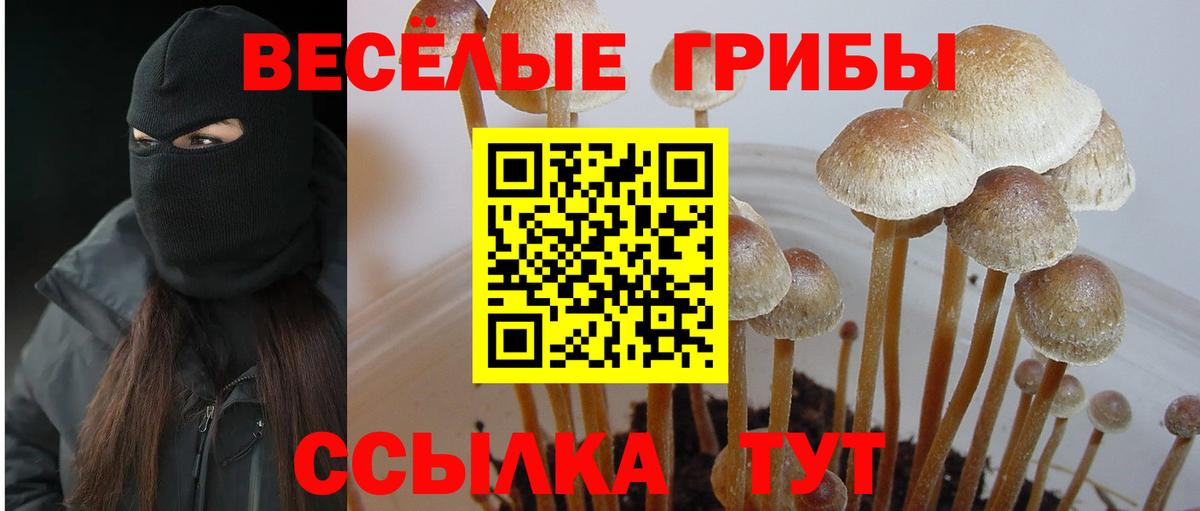 Псилоцибиновые грибы MAGIC MUSHROOMS Ирбит