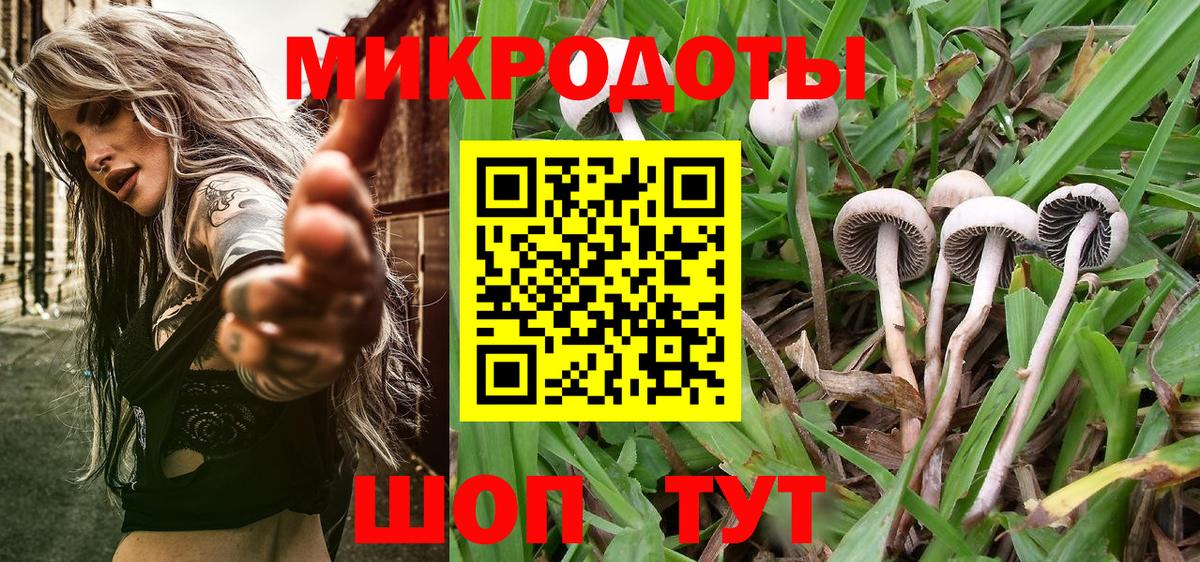 Ирбит  Галлюциногенные грибы Magic Shrooms  Вход с VPN 